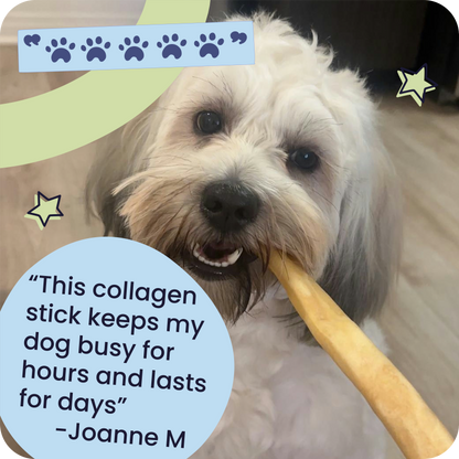 Beef Collagen Sticks